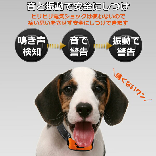 ̵���ʤ��ɻ߼��� ̵���ʤ����å� ���Ĥ� ���� ������� ������ �淿�� �緿�� �ڥå� ���顼�� ���Ĥ����� �ӡ��ײ� �� �ʤ����ɻ� �ɿ� �ŵ�����å�̵�� 30���ݾ�