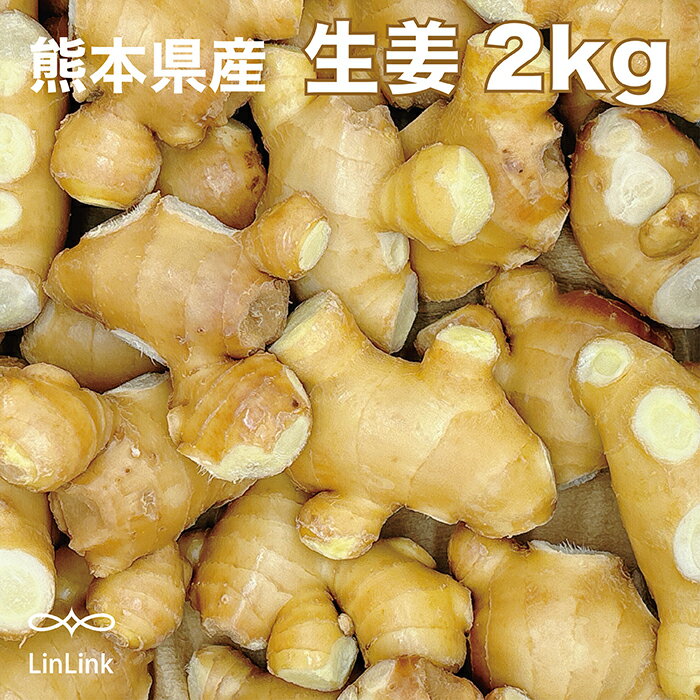 片山農園 片山さん 熊本 熊本県産 生姜 生姜2kg 囲生姜 有作くん 特別栽培 しょうが ショウガ ジンジャー 生姜紅茶 酢しょうが 根生姜 生姜醤油 生姜シロップ 九州産 業務用 大量販売 箱売り 箱 リンリンク青果部 LinLink ...