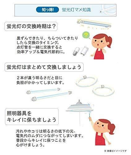 パナソニック ツイン蛍光灯 9形 電球色 2本ブリッジ FPL9EXL 2
