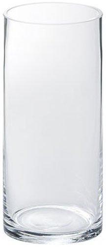 Rakuten - PASEO 花器 ガラスベース EX-38-20 クリア 約9×9×20cm