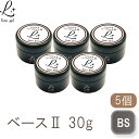 ベースジェル2 ベースコート ジェルネイル 国産 化粧品登録 フィルイン対応 5個セット 30g 透明感 UV LED対応 クリアジェル 大容量 プロ