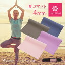 【キャッシュレス5%還元】ヨガマット 4mm メッシュキャリ...