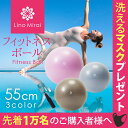 LinoMirai（リノミライ）フィットネスボール・ 55cm【送料無料】 バランスボール 耐荷重300kg・ノンバースト仕様で安心 ダイエット 骨盤補正 体幹運動 ストレッチ エクササイズ ポンプ付き 椅子 ヨガボール 空気入れ トレーニング