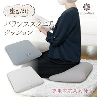 バランススクエアクッション 空気入れ ポンプ付き クッションカバー 使用可能 ポン...