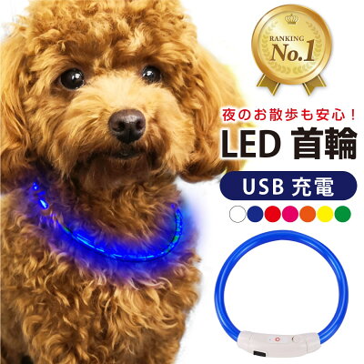 【楽天1位】高評価★4.4 犬 首輪 光る 光る首輪 カラー ペット 猫 LED ライト リード 光 点灯 点滅 蛍光 小型犬 中型犬 大型犬 USB充電式 夜 散歩 安全 事故防止 安全グッズ ペット用品 ドッググッズ 犬用品 便利 簡単 サイズ調整可 S M おしゃれ かわいい 繰り返し リノウル - Image 1
