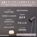 【P2倍】切り文字 立体 アクリル LINSL / 日本製 買いまわり 【 ミラー アルファベット DIY 表札 ネームプレート 看板 ウェルカムボード ステッカー 英語 オーダーメイド 北欧 モダン おしゃれ 韓国 インテリア アート リンスル 】