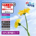 RT05ぴったりカット ミリ単位オーダーカットUVカットフィルムUV99%カットUV波長域300〜380nmカットすっきりクリア 使用後はがせる 日本製