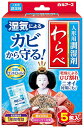 人形用調湿剤わらべ 5包入 人形用 消臭 黄ばみ防止 ダニ除け ひな人形 五月人形 乾燥 ひび割れ(3)