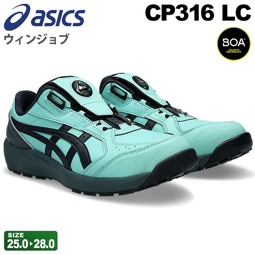 asc-cp316-lc.jpg