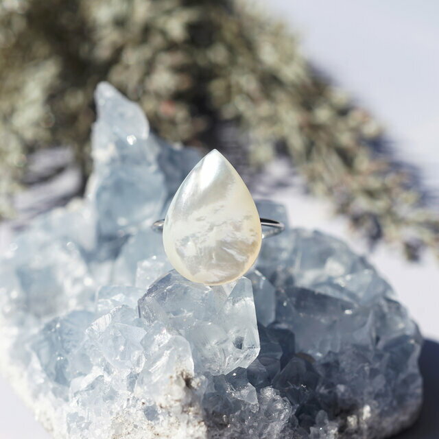 白蝶貝のペアシェイプ・サージカルス...