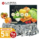 5年保存 高知県産 乾燥野菜&果物 ミックス BOX 1箱 9袋入 ALL SLOW FOOD(オールスローフード)【野菜&果物 1箱】 みそ汁の具 ドライフル...