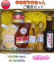 贅沢セット 送料無料 辛味噌 激辛 辛みそ 辛味噌やまちゃん かなりお得! 超激辛にんにく辛味噌 まよからでぃっぷ 辛味噌油 ガーリックオイル フライドガーリック 鍋パーティー ご贈答 プレゼント ラーメン 焼肉 鍋 マヨネーズ にんにく キャンプ BBQ