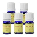 アンチイッチオイル 5ml 5本セット