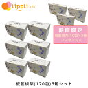 【レビューで最大10%OFFクーポン】板藍根茶120包6箱セット 40包3箱プレゼント付き