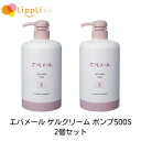 エバメールゲルクリーム ポンプ500S 2個セット
