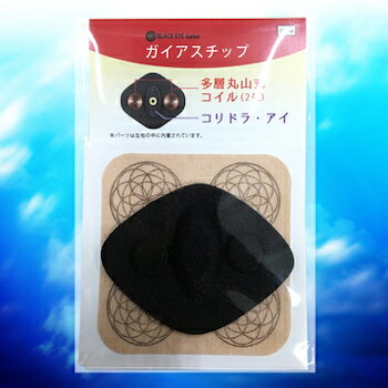 ڥӥ塼Ǻ10%OFFݥۥå