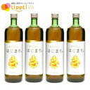 植物酵素水 はじまり 900ml 4本セット(4)
