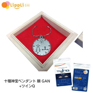 【レビューで最大10%OFFクーポン】十種神宝ペンダント 願 GAN + ツインQ