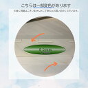 20%オフ【アウトレット】【一部変色】LP Folder 80mm