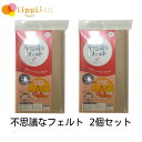 【レビューで最大10%OFFクーポン】不思議なフェルト 2個セット