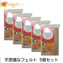 【レビューで最大10%OFFクーポン】不思議なフェルト 5個セット