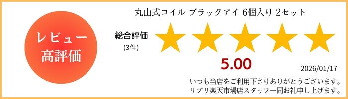 �ݻ��������� �֥�å����� 6������ 2���å�