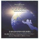 未来の探索 単品