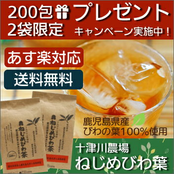 ねじめびわ茶200包 2袋セット 10包特典付