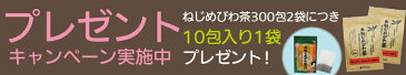 ねじめびわ茶 300包 2袋セット 10包特典付