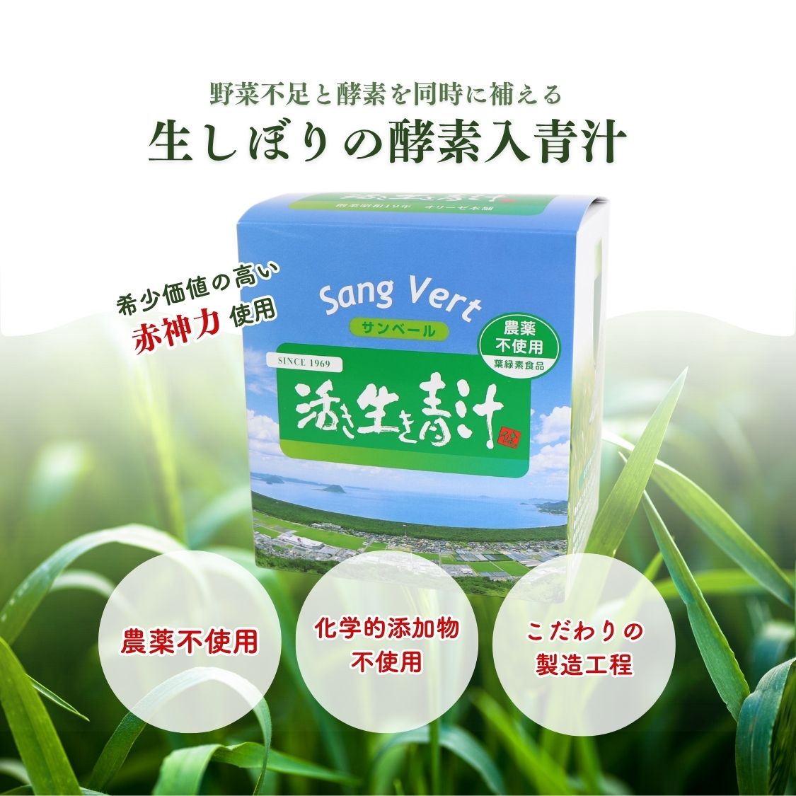 サンベール 活き生き青汁 60包