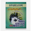 身体が元気になる魔法のシート 2枚入