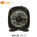 新林の滝 ブラック