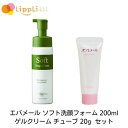エバメール ソフト洗顔フォーム 200ml ゲルクリーム チューブ 20g セット(4)