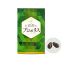 自然館のプロポリス 60粒