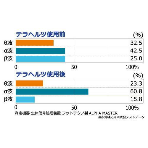 テラセラピネックレスL 55cmの紹介画像2