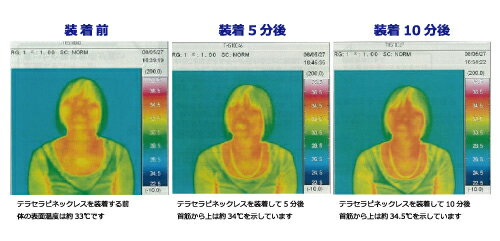 テラセラピネックレスL 55cmの紹介画像3