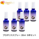 プロポリススプレー 30ml 6本セット