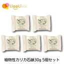 植物性カリカ石鹸30g 5個セット