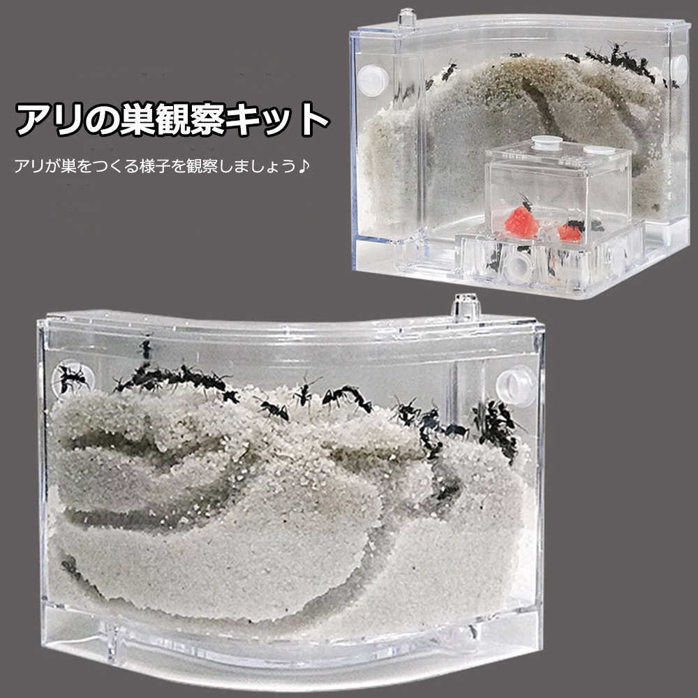 1.ピンセットや手でアリをつまんだりすることは禁止です。アリにけがをさせる可能性があり、またアリの体臭を破壊する可能性もあります。 2.アリを長時間、強い光の下に置くことは適していません。 3.製品を40℃以上または-5℃以下の温度の環境に置かないでください。 4.製品を通風の良い、刺激のない香り、騒音のない、振動のない環境に配置してください。普段はアリをできるだけ驚かせないようにしてください。 5.アリを入れてから数日間は穴を掘り始めるまでに慣れる必要があります。 6.同じ日にエサを与えることができますが、主に甘い果物（リンゴ、梨、バナナなど）を与えることをおすすめします。2〜3日ごとに給餌することをおすすめします。1週間ごとに少量の白糖または氷糖に変えることもできます。 7.アリは普段、一緒に集まってあまり動かないことが好きで、これはアリの習性であり、正常な現象です。1.ピンセットや手でアリをつまんだりすることは禁止です。アリにけがをさせる可能性があり、またアリの体臭を破壊する可能性もあります。 2.アリを長時間、強い光の下に置くことは適していません。 3.製品を40℃以上または-5℃以下の温度の環境に置かないでください。 4.製品を通風の良い、刺激のない香り、騒音のない、振動のない環境に配置してください。普段はアリをできるだけ驚かせないようにしてください。 5.アリを入れてから数日間は穴を掘り始めるまでに慣れる必要があります。 6.同じ日にエサを与えることができますが、主に甘い果物（リンゴ、梨、バナナなど）を与えることをおすすめします。2〜3日ごとに給餌することをおすすめします。1週間ごとに少量の白糖または氷糖に変えることもできます。 7.アリは普段、一緒に集まってあまり動かないことが好きで、これはアリの習性であり、正常な現象です。
