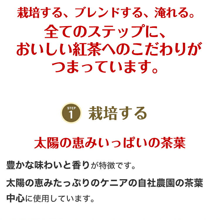 リプトン 紅茶 ブランド 紅茶 ティーバッグ イエローラベル おまもリプトン 2.0g×10袋 おまもり グッズ Lipton