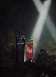 スケープグレース　ブラック　プレミアムドライジン　41.6度　700ml　SCAPEGRACEBLACKGIN　クラフトジン