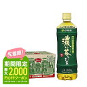 【あす楽】 【送料無料】 機能性表示食品伊藤園 お～いお茶 濃い茶 600ml×24本