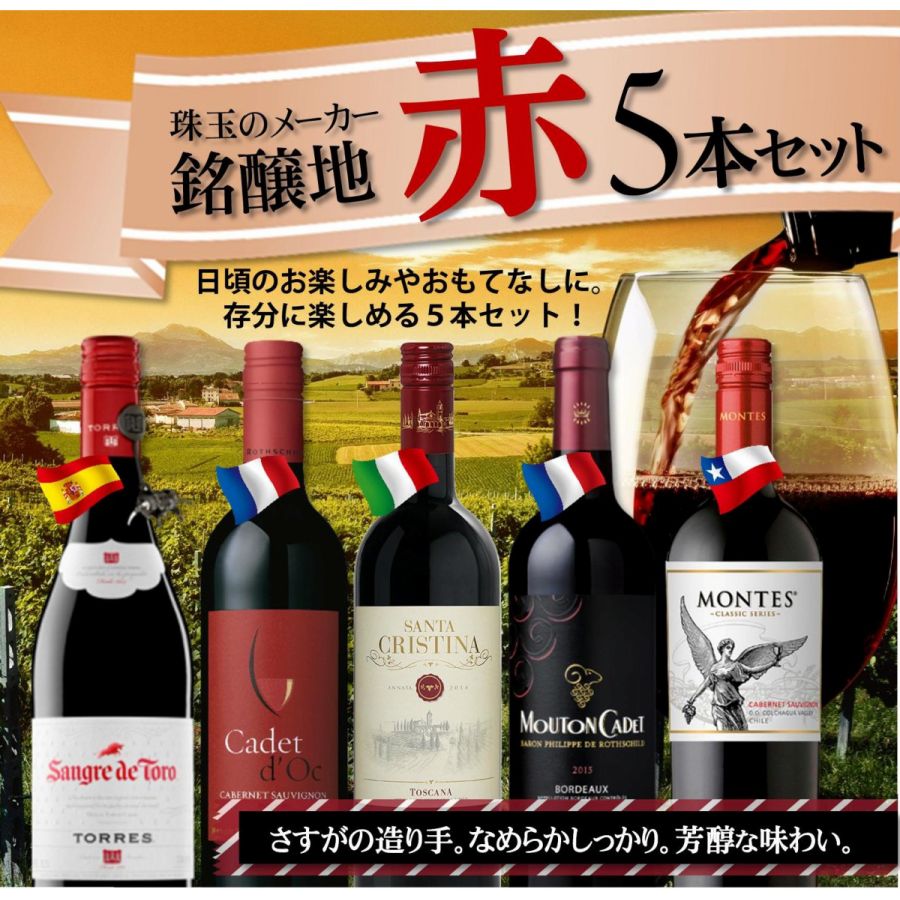 【送料無料】 ワインセット 当店厳選！売れ筋赤ワイン 750ml×5本セット【北海道・東北・九州・四国・沖縄県は必ず送料が掛かります】