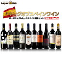【抽選で1等2万ポイント当たる!】【最強配送】 【送料無料】ワイン セット スペインワイン赤白厳選10本絶品の長期熟成グランリゼルバ入り!【北海道・東北・四国・...