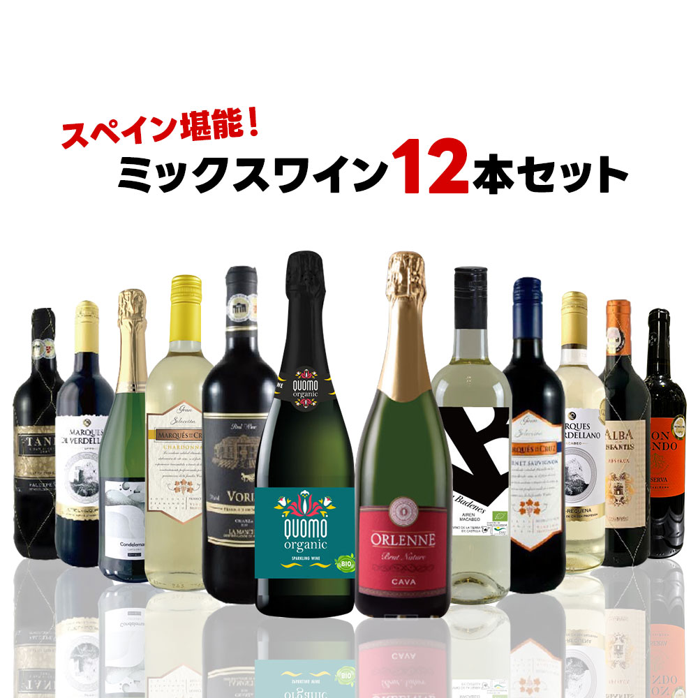 【送料無料】 高級スパーク入り!キングオブスペイン ミックスワイン セット[750ml×12本]【北海道・東北・四国・九州・沖縄県は必ず送料..