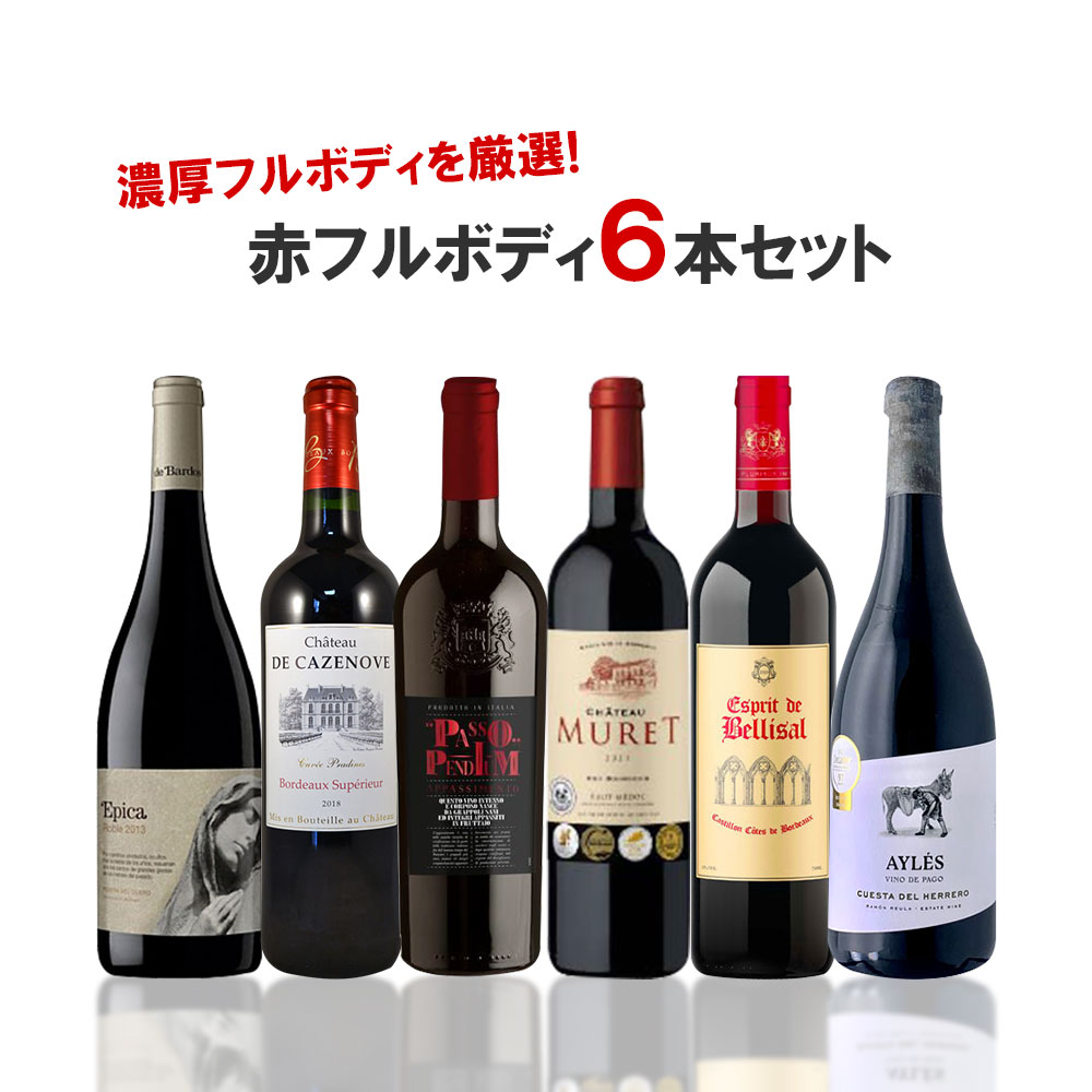 【あす楽】【送料無料】赤濃厚フルボディ厳選6本セット[750ml×6本] 【北海道・東北・四国・九州・沖縄県は必ず送料がかかります】ワイン 飲み比べ ワインセット ギフト