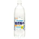 【訳あり】【キズ・へこみ有り】【送料無料】サンガリア 伊賀の天然水 強炭酸水 レモン 1000ml (1L) ×12本