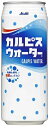 5/1限定P3倍＆300円OFFクーポン取得可 【送料無料】アサヒ飲料 カルピスウォーター 缶 500ml×2ケース/48本