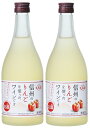 6/1は食フェス300円OFFクーポン取得可 【送料無料】長野県アルプスワイン 信州りんご フルーツワイン 4% 500ml×2本【本州(一部地域を除く)は送料...