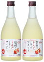 5/5限定P3倍 【送料無料】長野県アルプスワイン 信州りんご フルーツワイン 4％ 500ml×2本【本州(一部地域を除く)は送料無料】